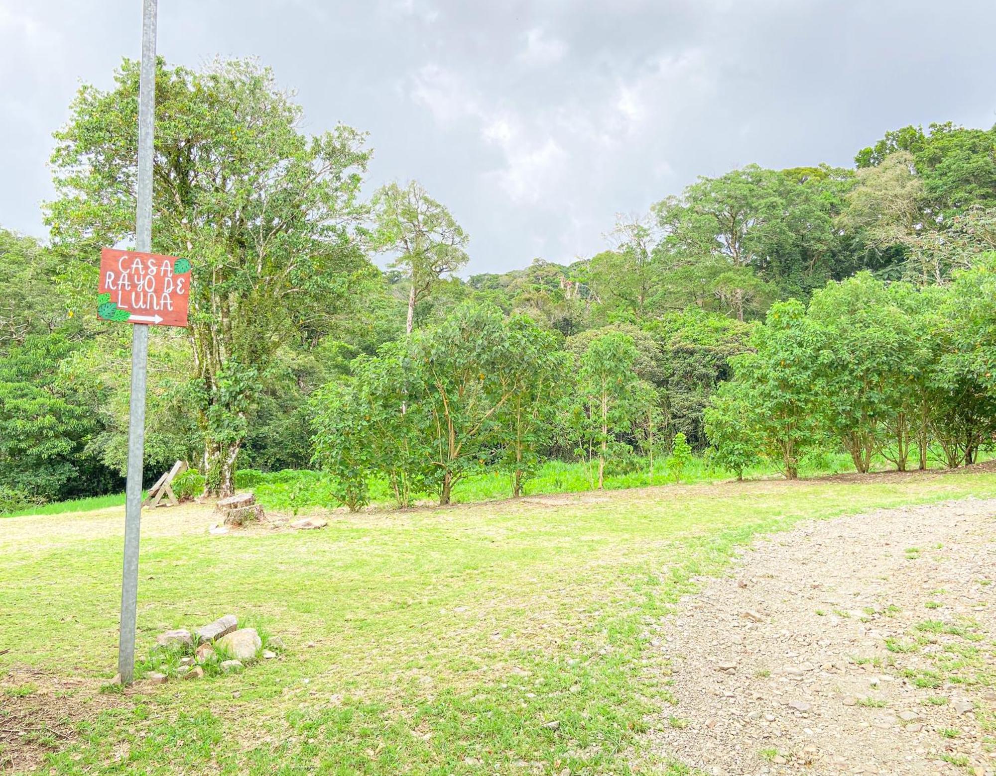 Casa Rayo De Luna Monteverde Eksteriør bilde