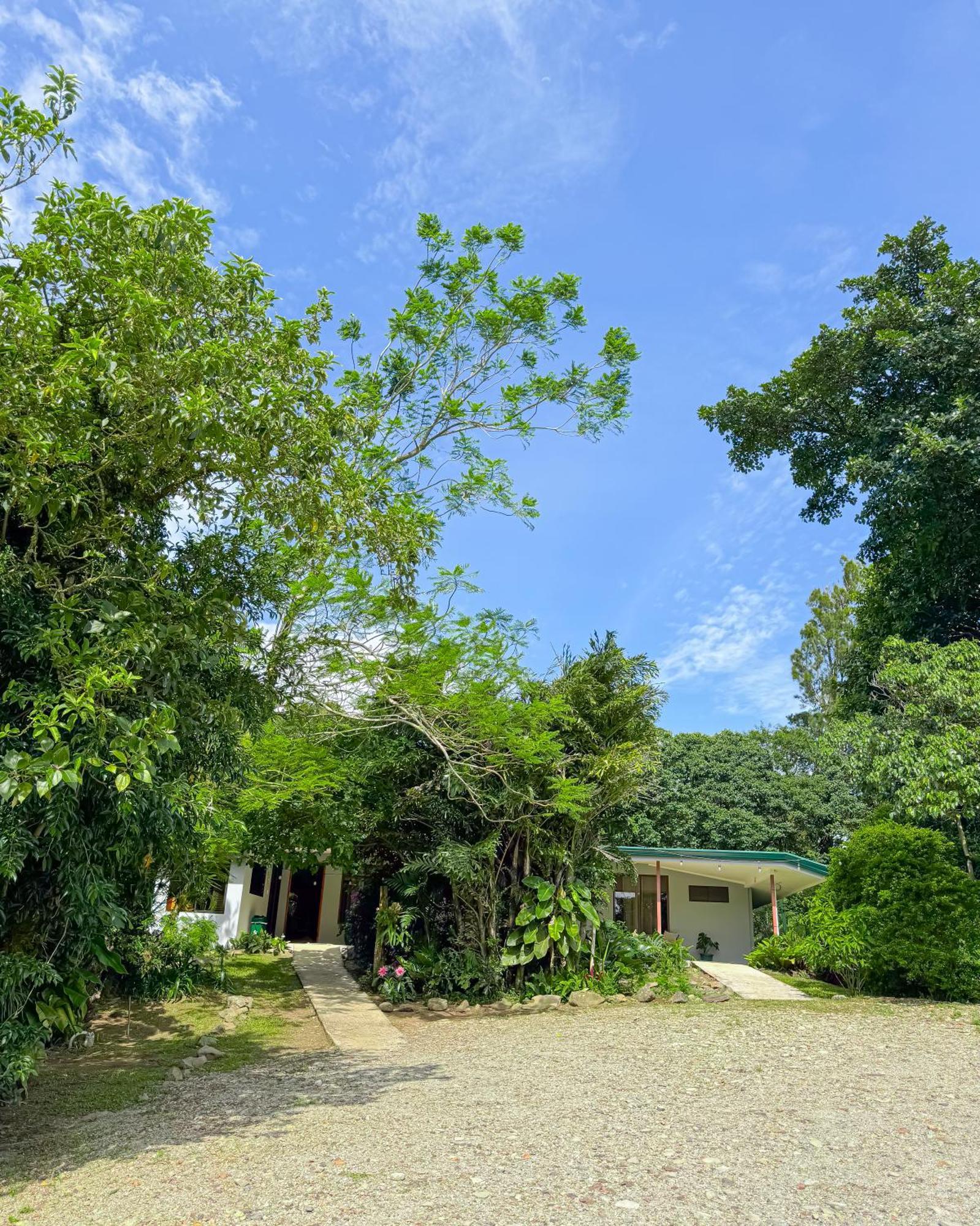 Casa Rayo De Luna Monteverde Eksteriør bilde