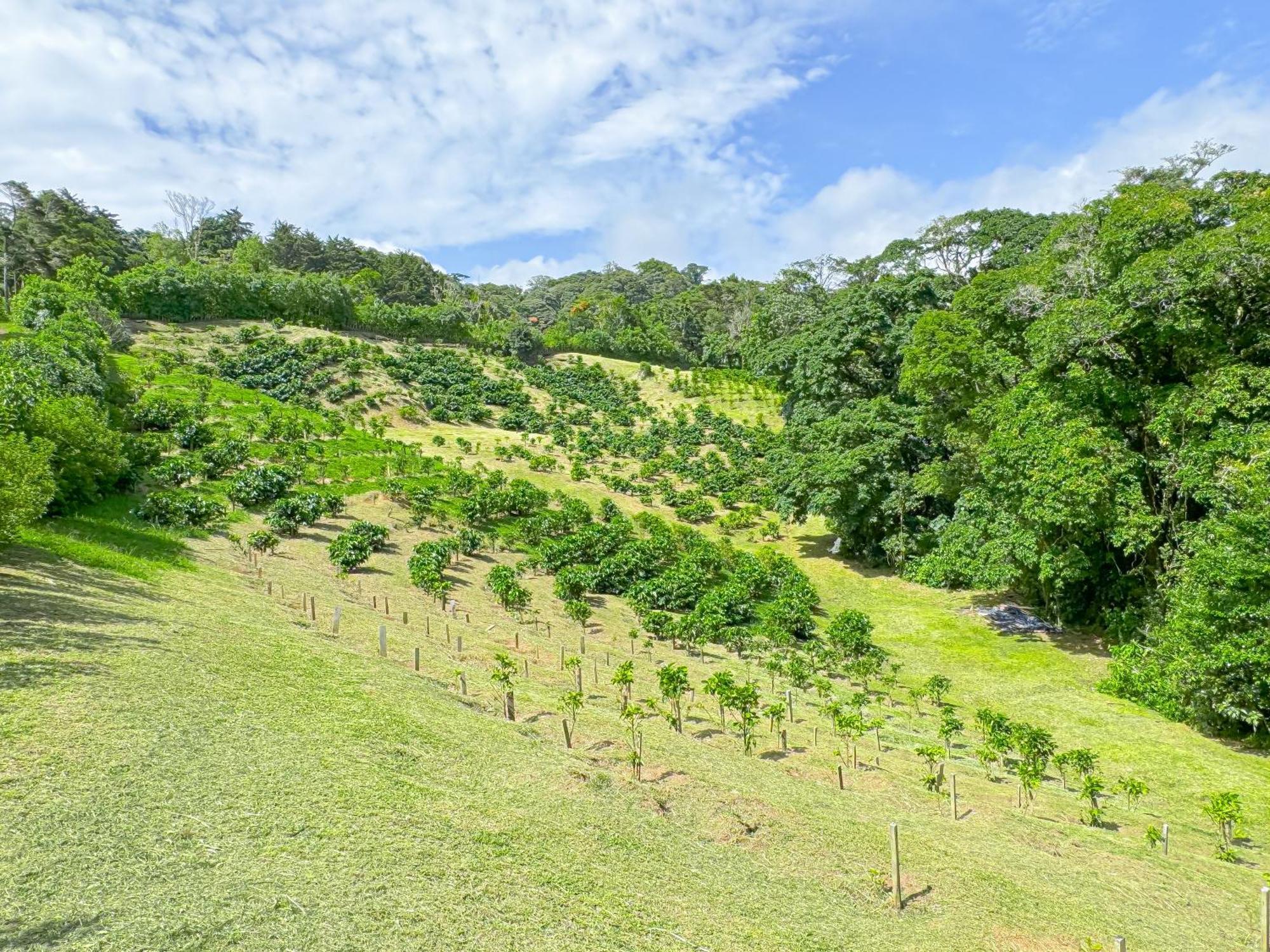 Casa Rayo De Luna Monteverde Eksteriør bilde
